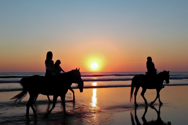Horseback Riding: Eucalyptus Forest Ride